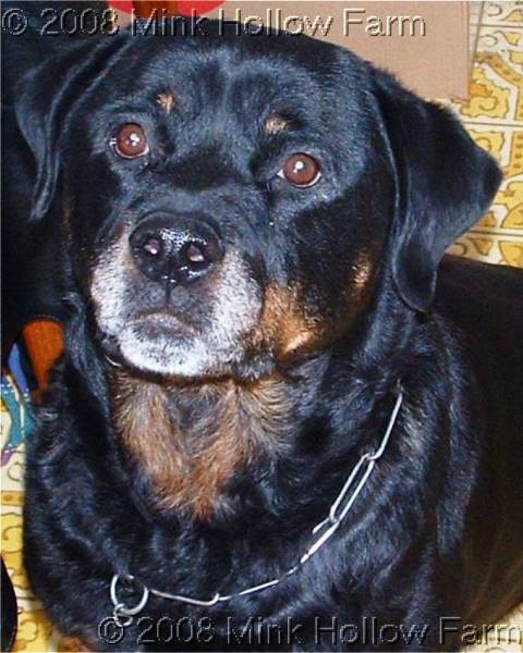 07-05-24-01-w.jpg 07-05-24-01-w.jpg