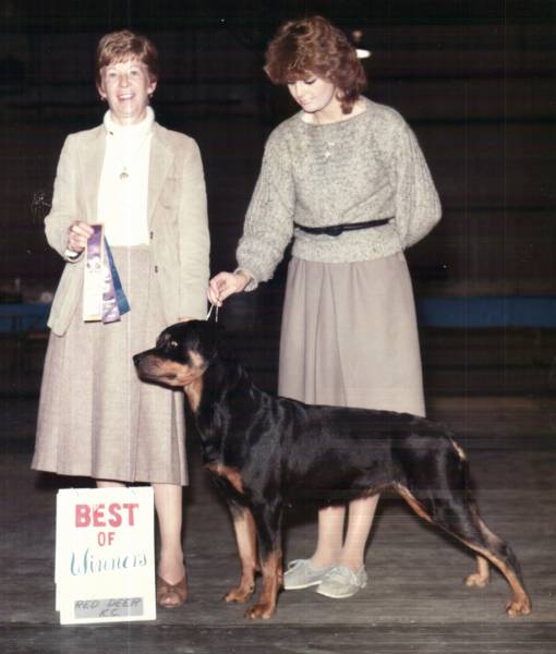 schinken.jpg schinken.jpg