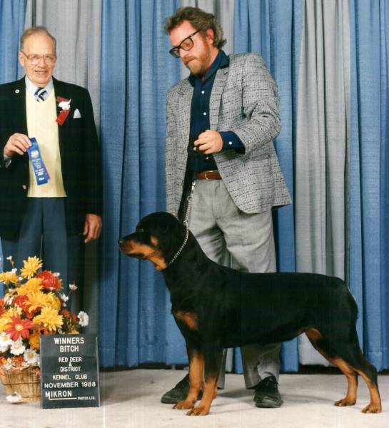 lacey1.jpg lacey1.jpg