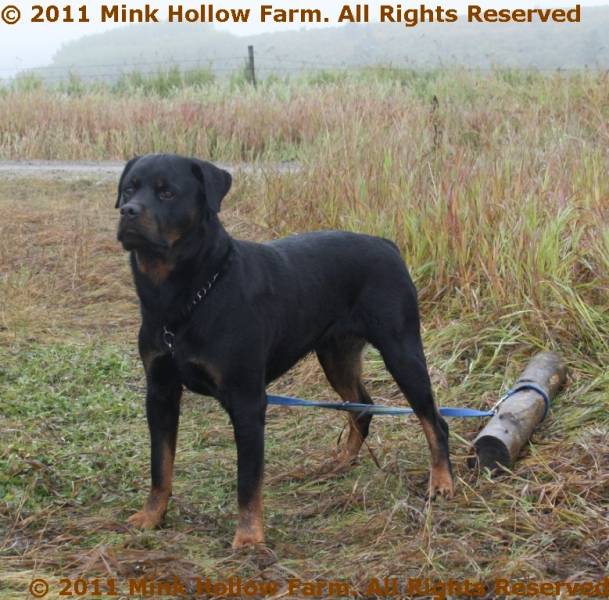 2010-09-21_11-17-26.jpg 2010-09-21_11-17-26.jpg