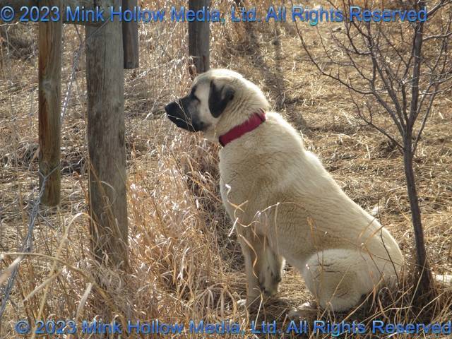 2022-03-19-18-27-02_wm.jpg 2022-03-19-18-27-02_wm.jpg