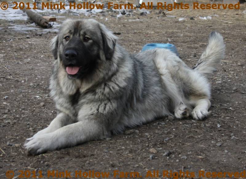 2009-11-05_11-09-44.jpg 2009-11-05_11-09-44.jpg