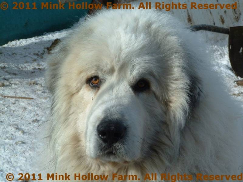 2009-02-17_12-16-07-002.jpg 2009-02-17_12-16-07-002.jpg