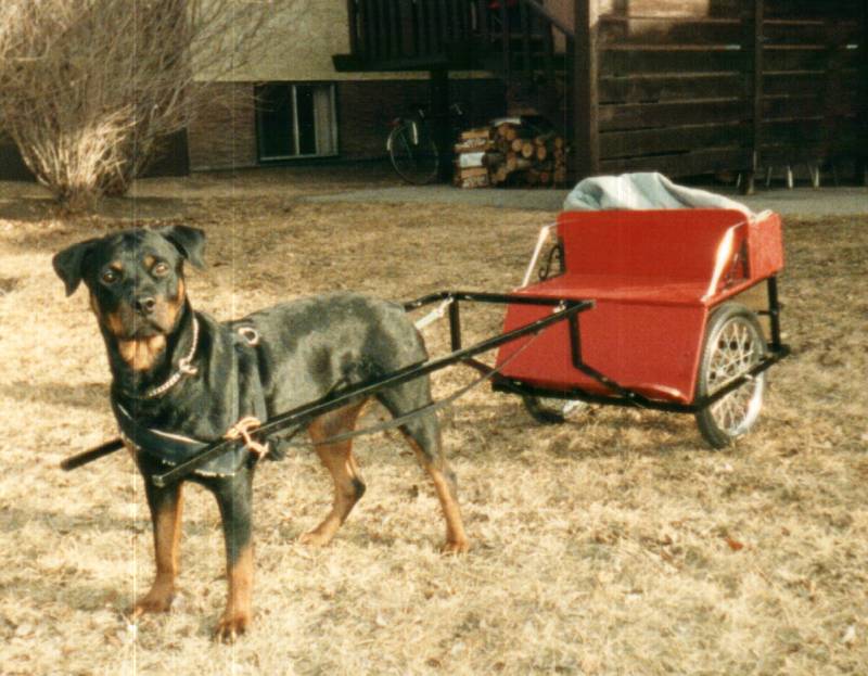 tonia2.jpg tonia2.jpg